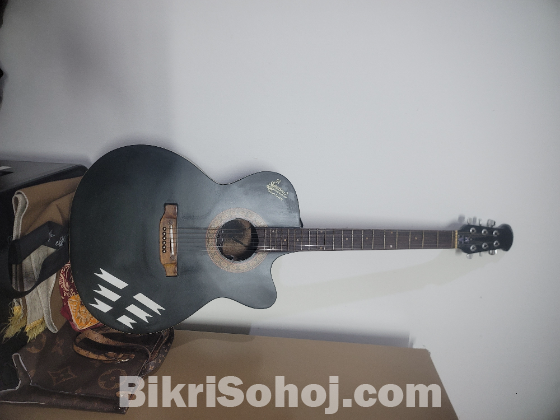 Signature Gitar